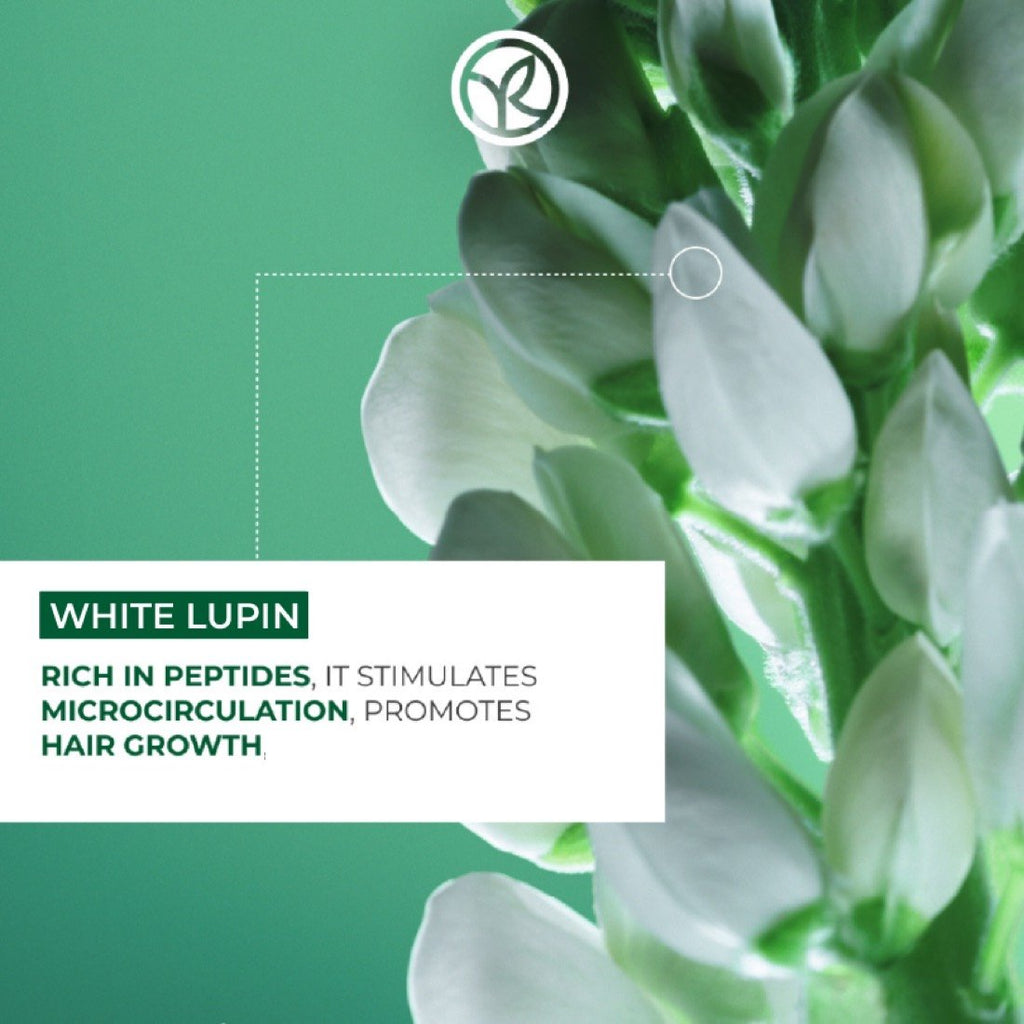 Density shampoo texture